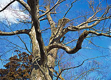 《幻象破坏者OMNIA》故事模式预告 3月15日正式发售